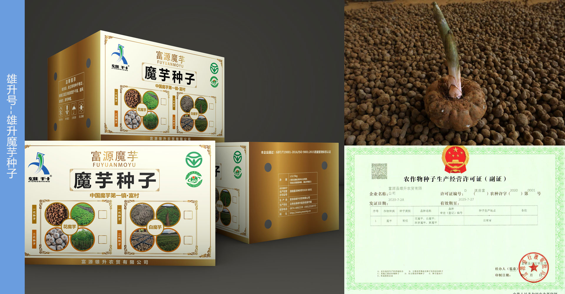 幻灯2